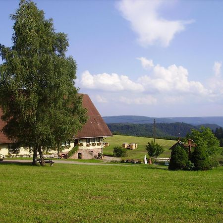 Aeckerhof Villa Wolfach Luaran gambar