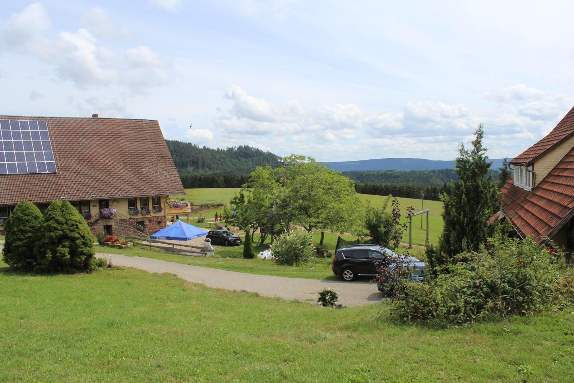 Aeckerhof Villa Wolfach Luaran gambar