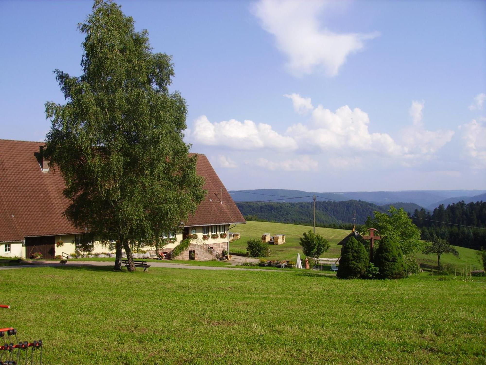 Aeckerhof Villa Wolfach Luaran gambar
