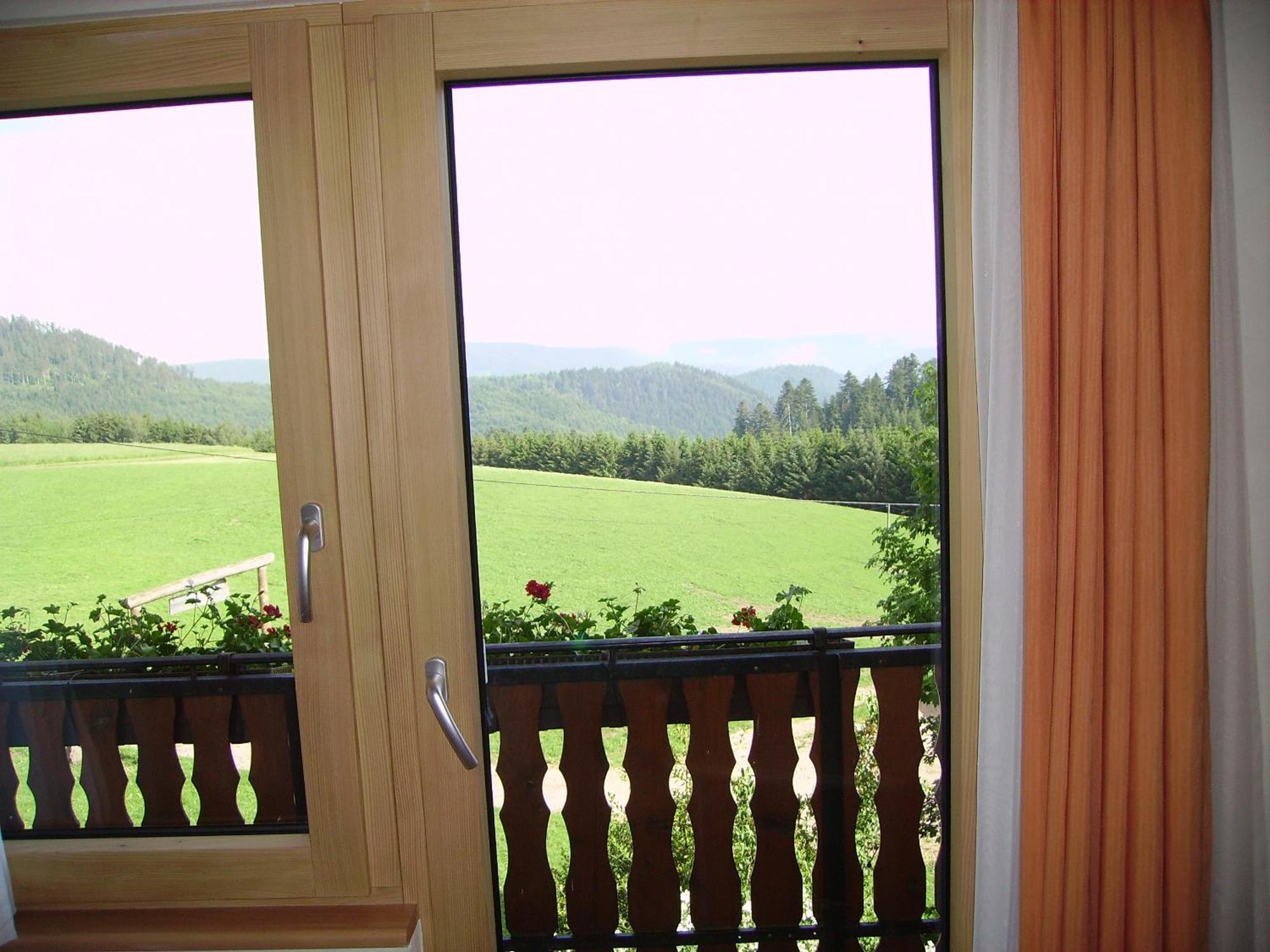 Aeckerhof Villa Wolfach Luaran gambar